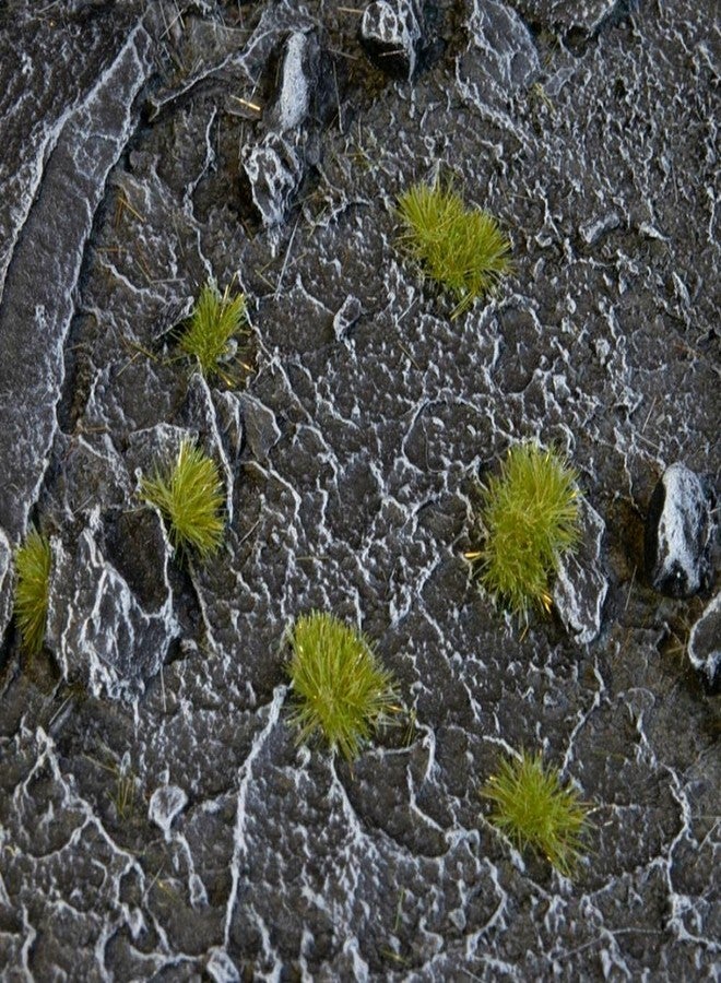Gamers Grass - Tiny Tufts Dry Green - Image 1